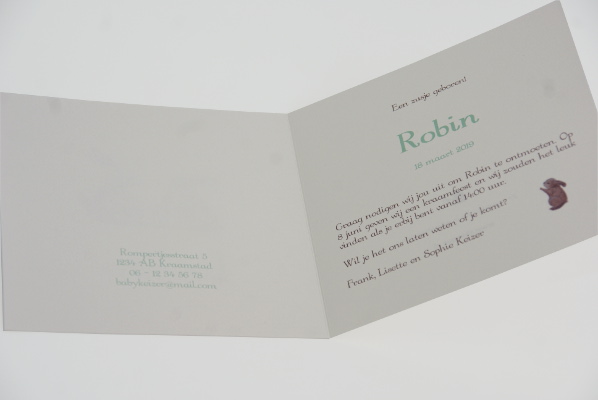 geboortekaartje robin lichtgroen